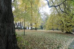 SAM_0665