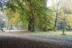 SAM_0670