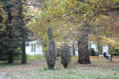 SAM_0676
