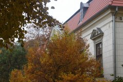 SAM_0683