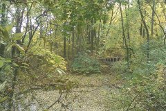 2013.10 Dwór w Turowicach