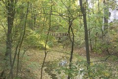 IMAGE_574