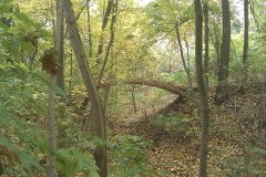 IMAGE_576