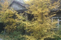 IMAGE_577