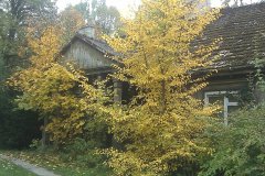 IMAGE_578