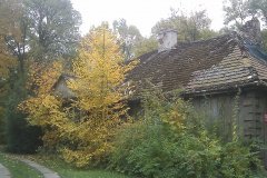 IMAGE_579