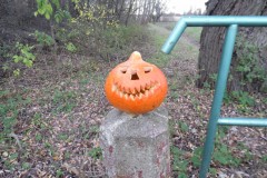 2013.10 Przepust na wale wiślanym w Piaskach