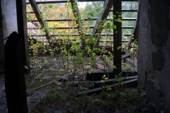 P1210163