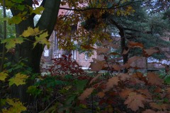 P1210204
