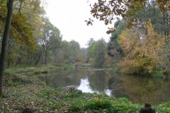 P1210118