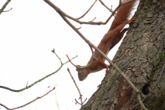 P1210689