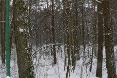 P1220854