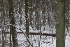 P1220855