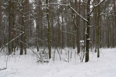 P1220856
