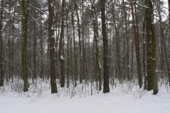 P1220857