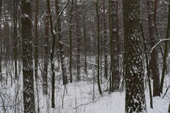 P1220859