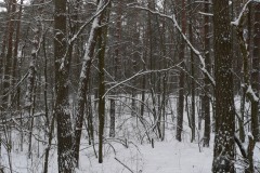 P1220860