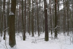 P1220861