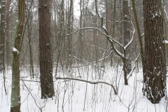 P1220870