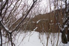 SAM_1129