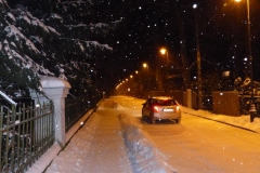 2014.01.27 Zimowy Park Zdrojowy