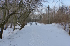 2014.02.01 Zimowa Jeziorka