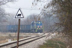 2014.02.22 Pociąg z Siekierek