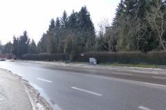 P1010529
