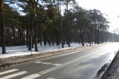 P1010619