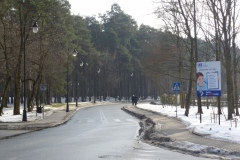 P1010629