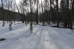 P1010631