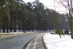 P1010636