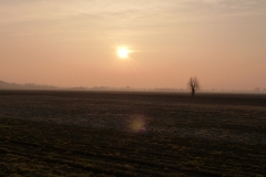 P1020340