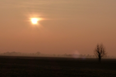P1020343