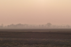 P1020345