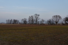 P1020386