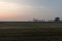 P1020388