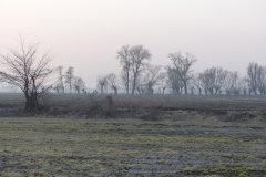 P1020391