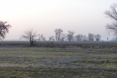 P1020392