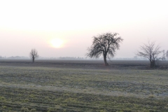 P1020394