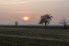 P1020396
