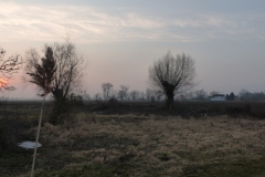 P1020405