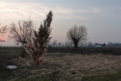 P1020406