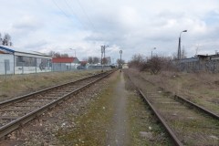 P1030134