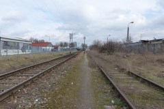P1030135