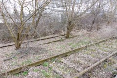 P1030185