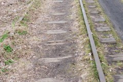 P1030224