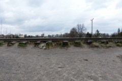 P1030239