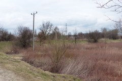 P1030339