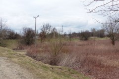 P1030340